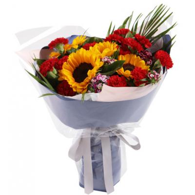 暖意满满----向日葵5枝，红色康乃馨16枝，石竹梅5枝