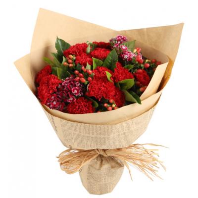 温馨思念----红色康乃馨16枝，石竹梅5枝，红豆3枝